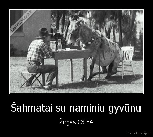 Šahmatai su naminiu gyvūnu