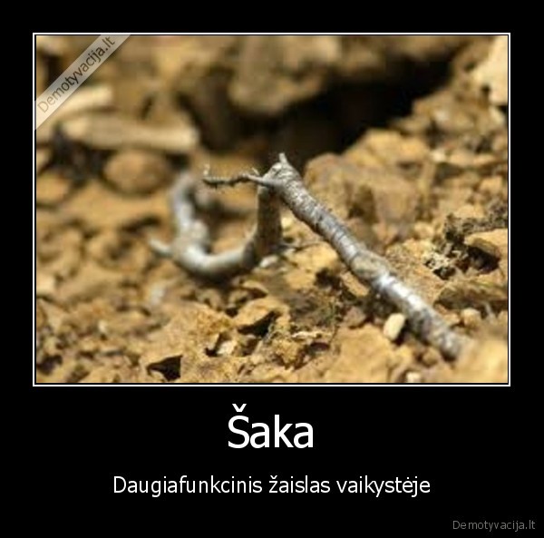 Šaka