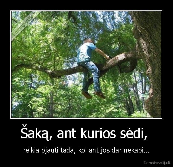 saka,pjauti,sedi