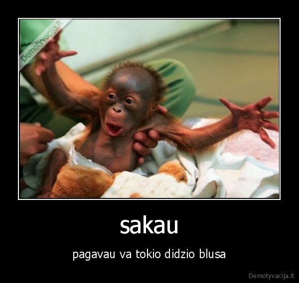 sakau