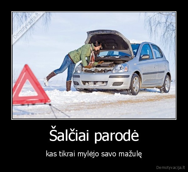 masina,myleti,salciai