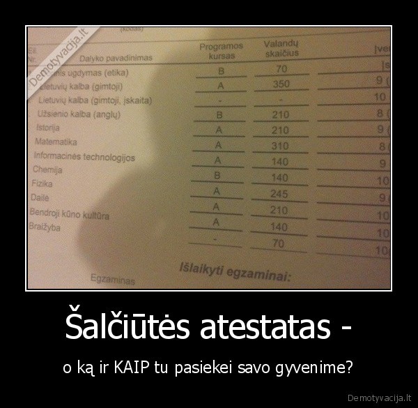 salciute,atestatas