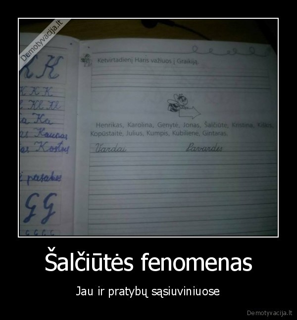 monika, salciute,pirmoku, pratybos,pratybu, sasiuvinis