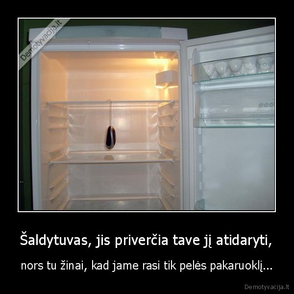 saldytuvas,maistas,pasikorus, pele
