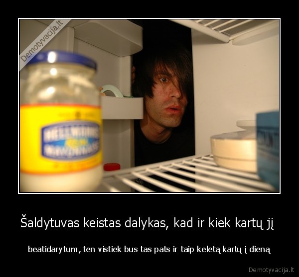 saldytuvas