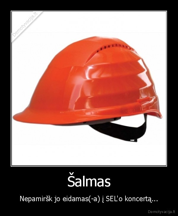 sel, salmas, mesti, nukalti, nuskinti, paleisti, i, galva, nukautuoti, mikrofonas, koncert