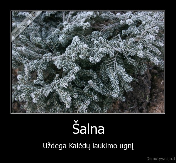 kaledos,salna,ugnis