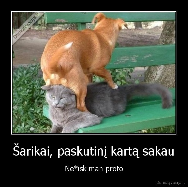 Šarikai, paskutinį kartą sakau