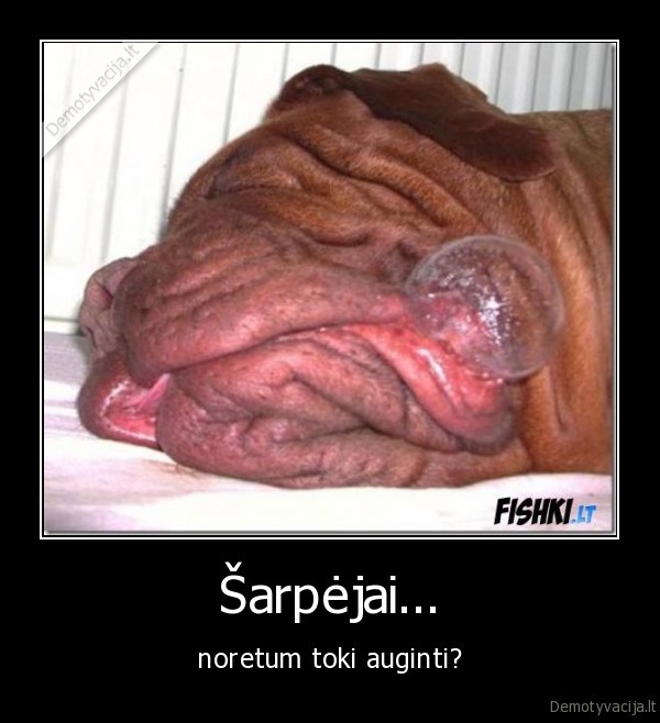 Šarpėjai...