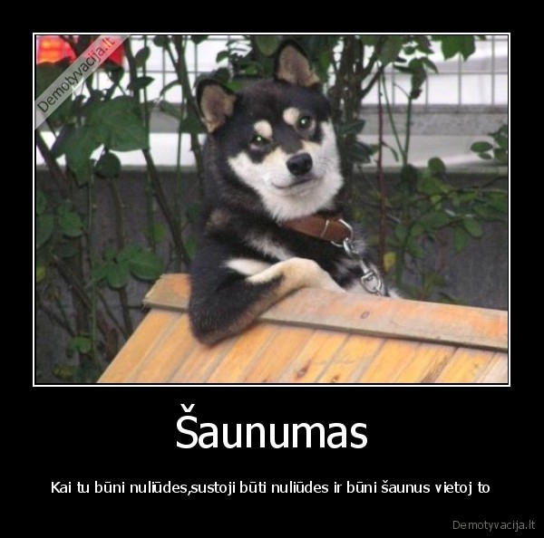 Šaunumas