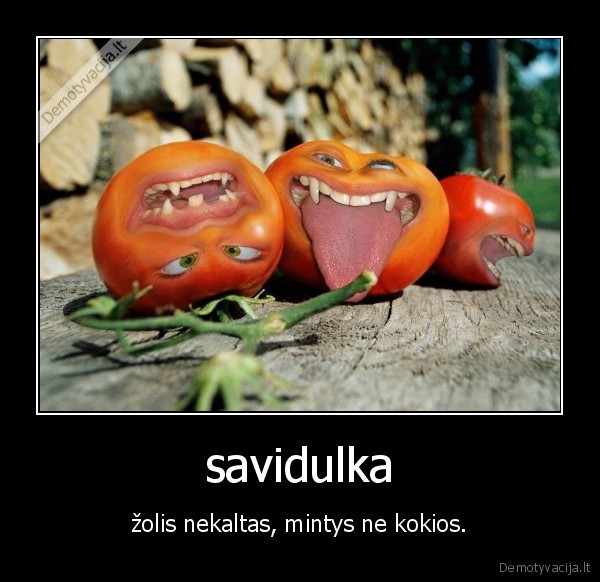 pomidorai,poruojasi,savidulka
