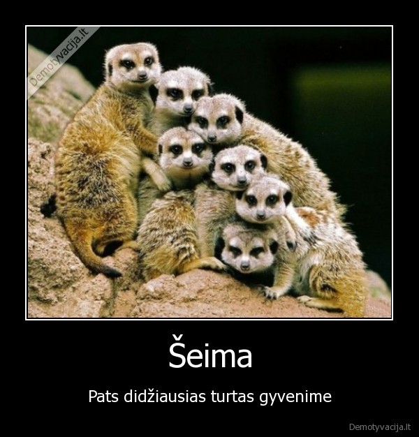 Šeima