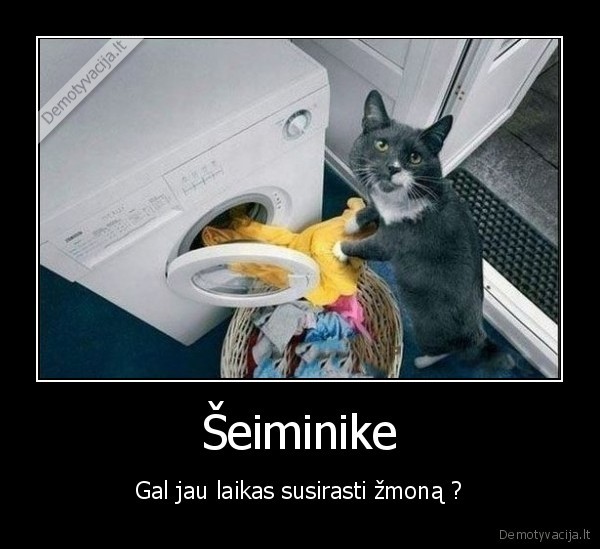 katinas,zmona,skalbiniai