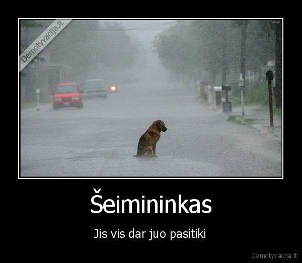 Šeimininkas