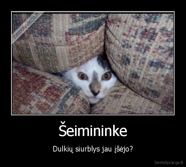 Šeimininke