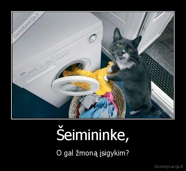 Šeimininke,
