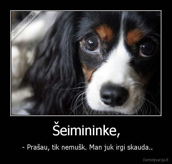 Šeimininke,