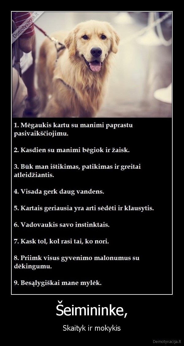 Šeimininke,