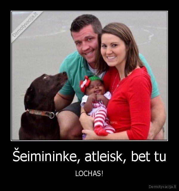 Šeimininke, atleisk, bet tu