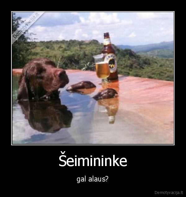 Šeimininke