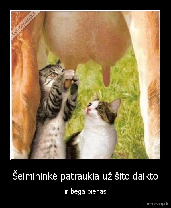 Šeimininkė patraukia už šito daikto