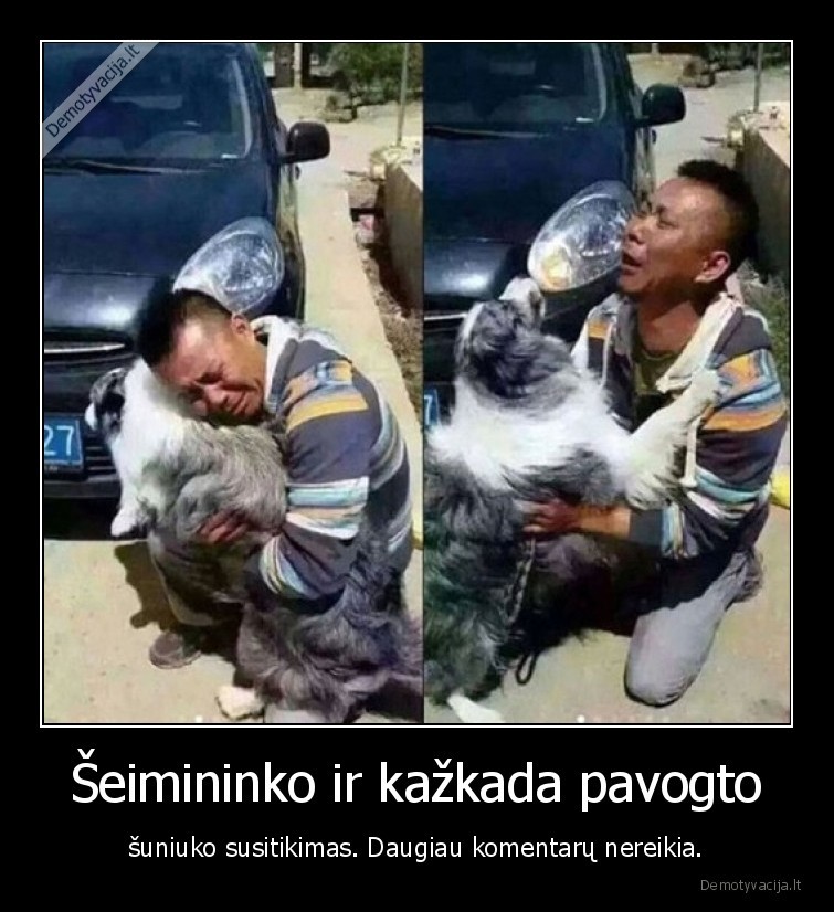 draugyste,suo,seimininkas,susitikimas