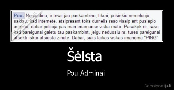 Šėlsta 