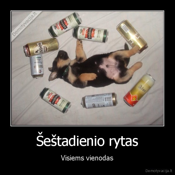 Šeštadienio rytas