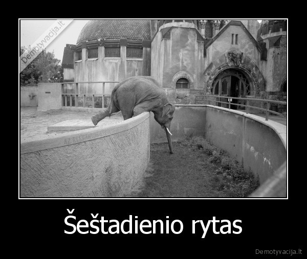 Šeštadienio rytas