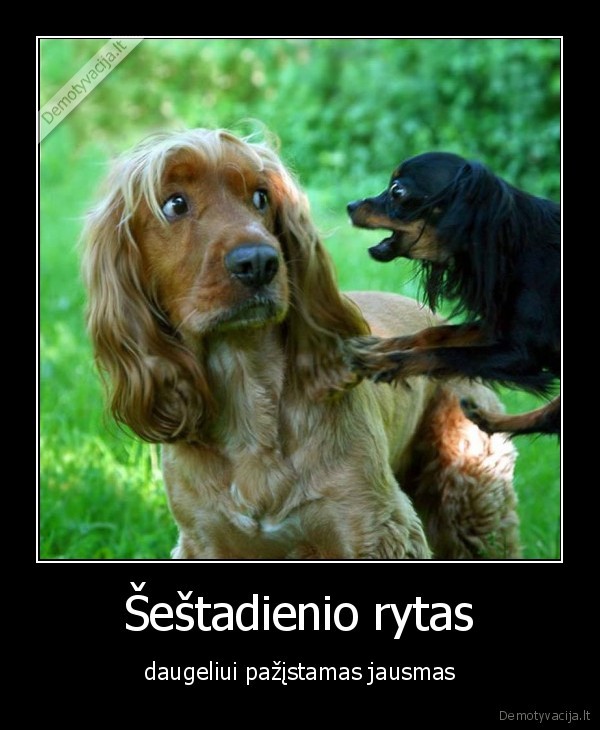 suo,loja,psichopate