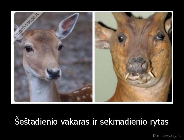 sekmadienis,sestadienis