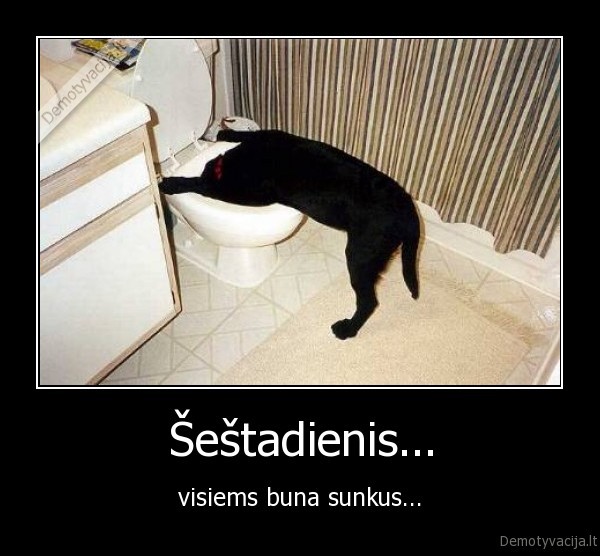 Šeštadienis...