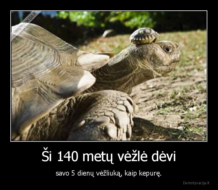vezle,vezliukas,kepure
