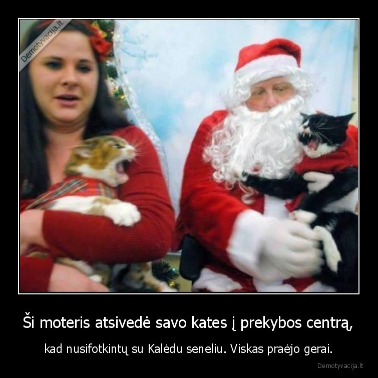 kaledu, senelis,kate,kates,katinas,moteris