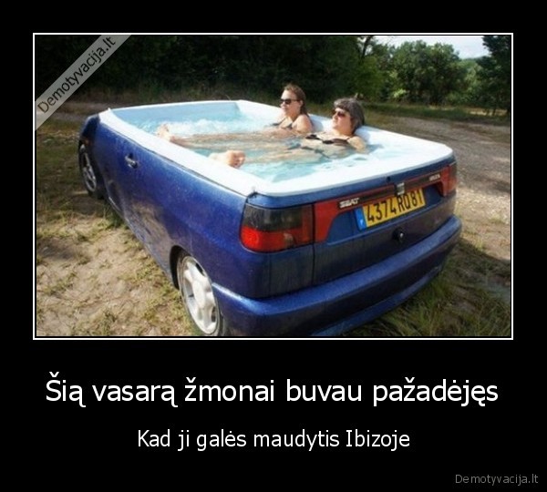 seat, ibiza,baseinas, automobilyje