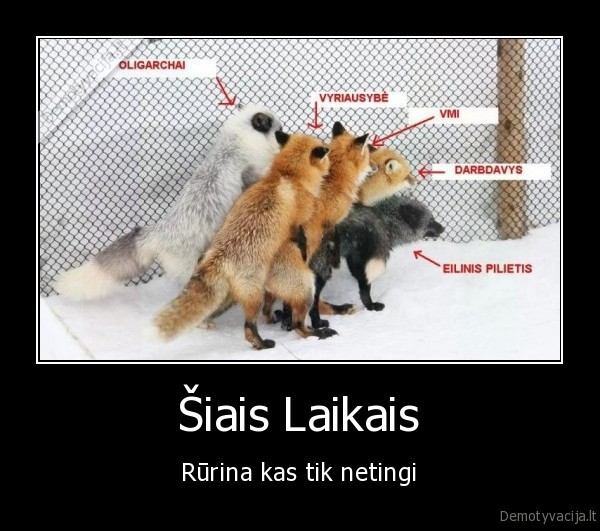 Šiais Laikais