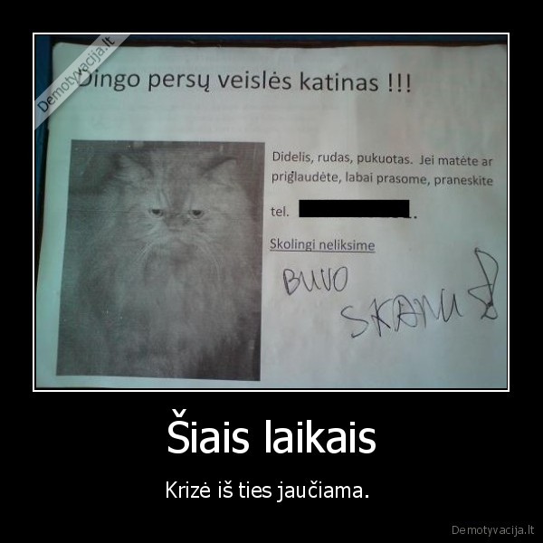 Šiais laikais