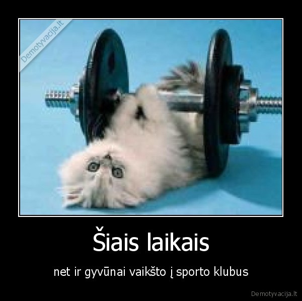 Šiais laikais