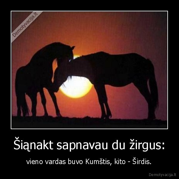 Šiąnakt sapnavau du žirgus: