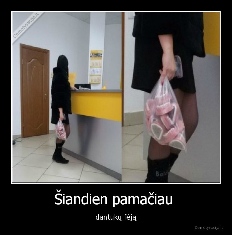 dantuku,feja,dantys