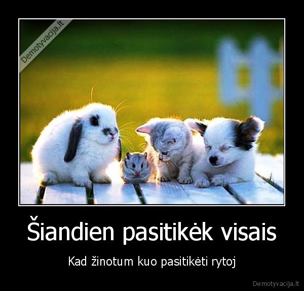 Šiandien pasitikėk visais
