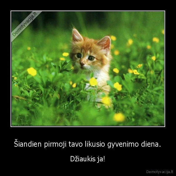 Šiandien pirmoji tavo likusio gyvenimo diena.