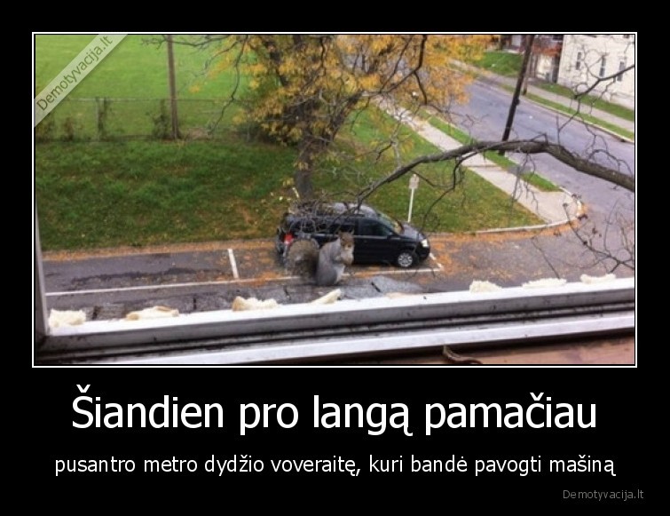 voveraite,masina,iliuzija,didele