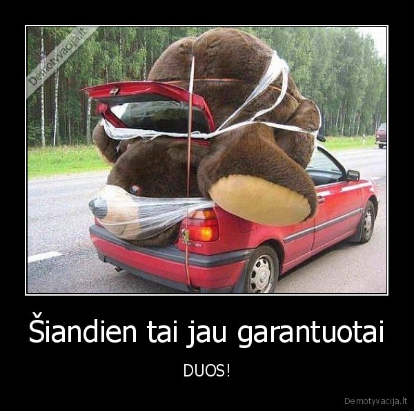 didelis, pliusinis, meskinas,seksas