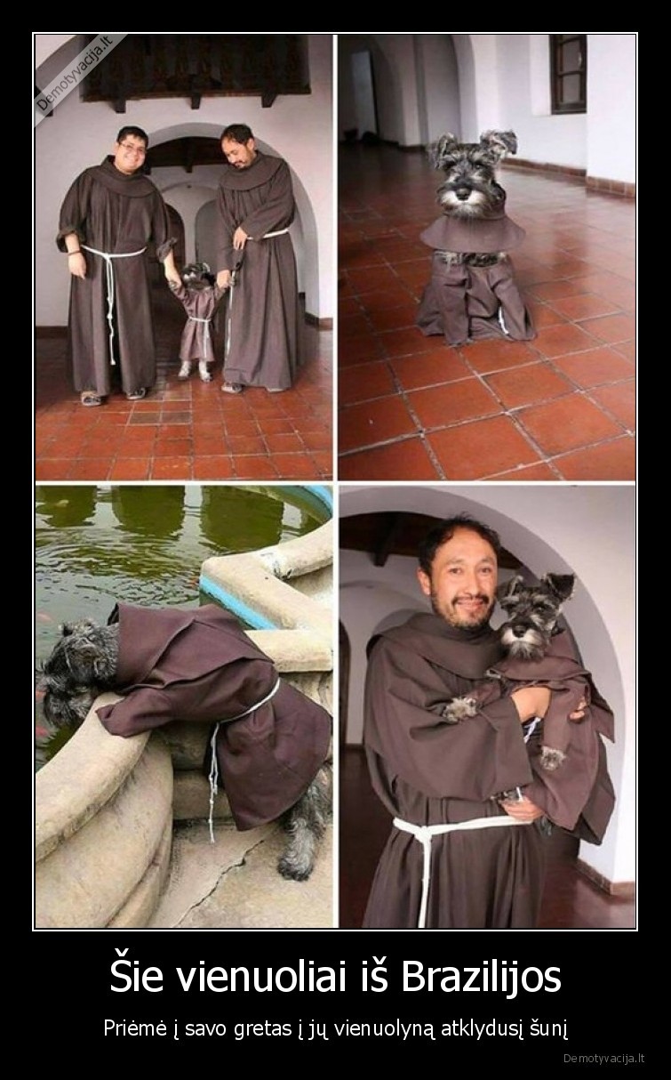 suo, vienuolis