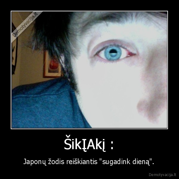 japonai,zodziai