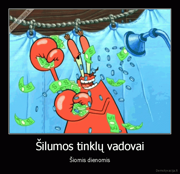 salciai,pinigai