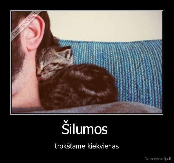 Šilumos 