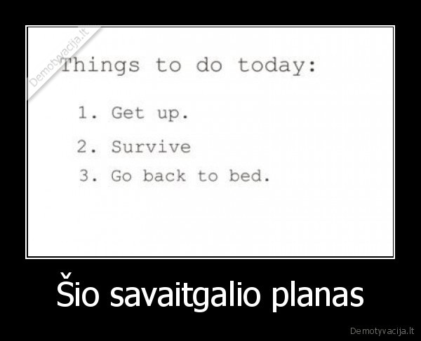 Šio savaitgalio planas