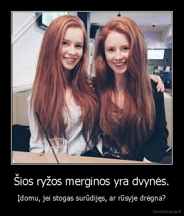 mergina,ryza,rusys